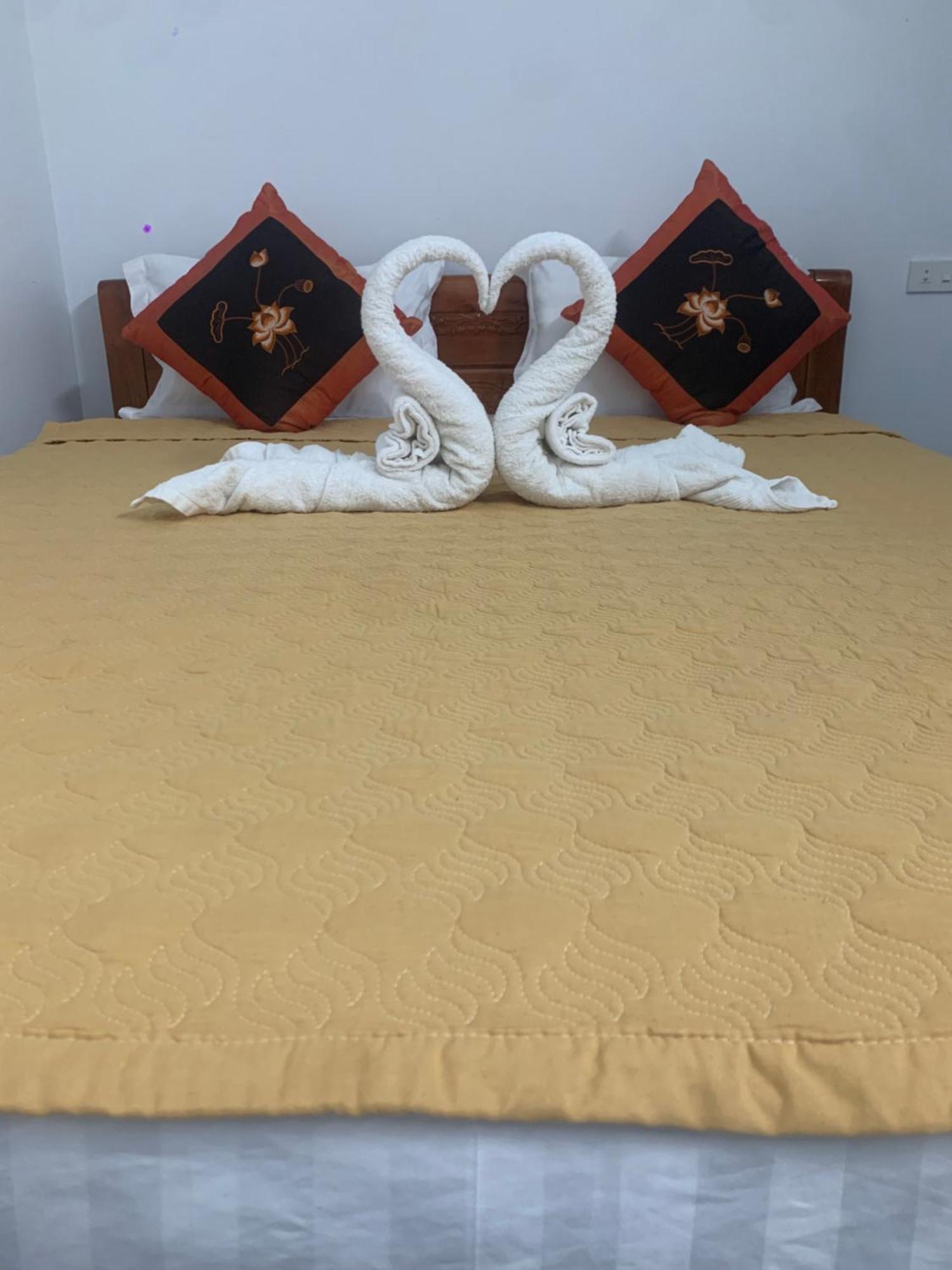Tam Coc White Swan Homestay Ніньбінь Екстер'єр фото